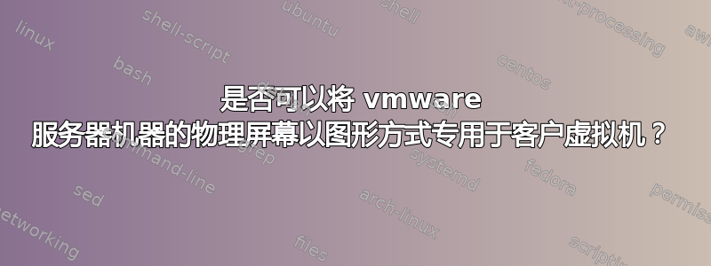 是否可以将 vmware 服务器机器的物理屏幕以图形方式专用于客户虚拟机？