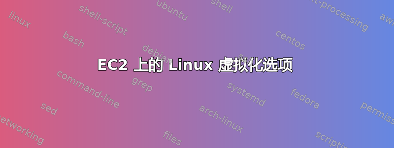 EC2 上的 Linux 虚拟化选项