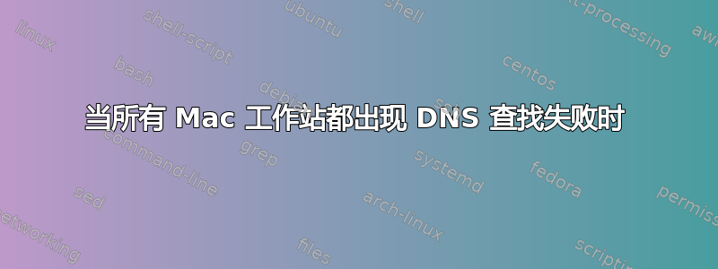 当所有 Mac 工作站都出现 DNS 查找失败时