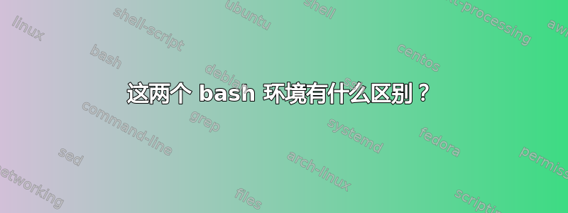 这两个 bash 环境有什么区别？