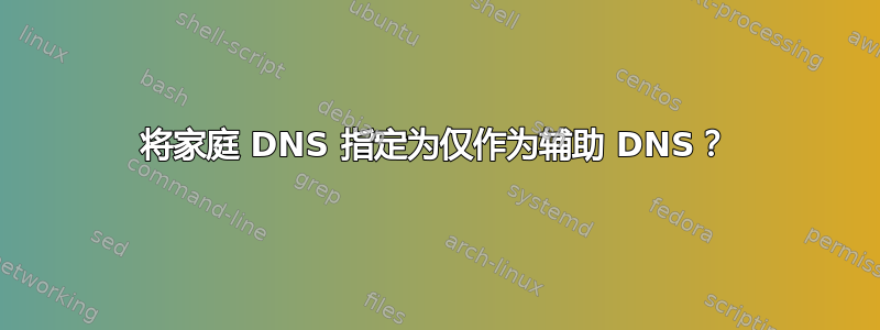 将家庭 DNS 指定为仅作为辅助 DNS？