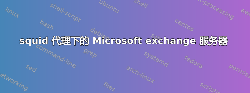 squid 代理下的 Microsoft exchange 服务器