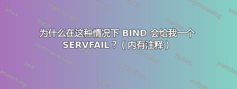 为什么在这种情况下 BIND 会给我一个 SERVFAIL？（内有注释）