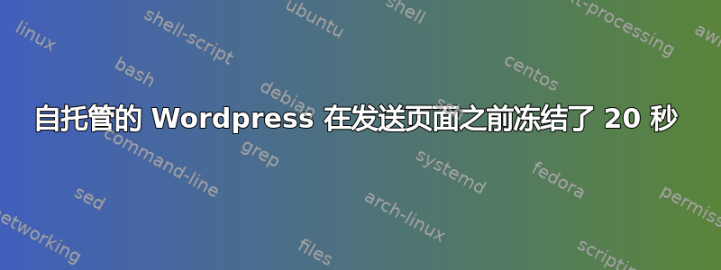 自托管的 Wordpress 在发送页面之前冻结了 20 秒