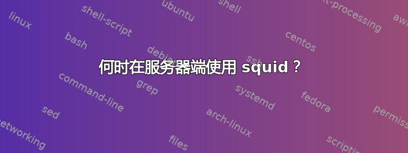 何时在服务器端使用 squid？