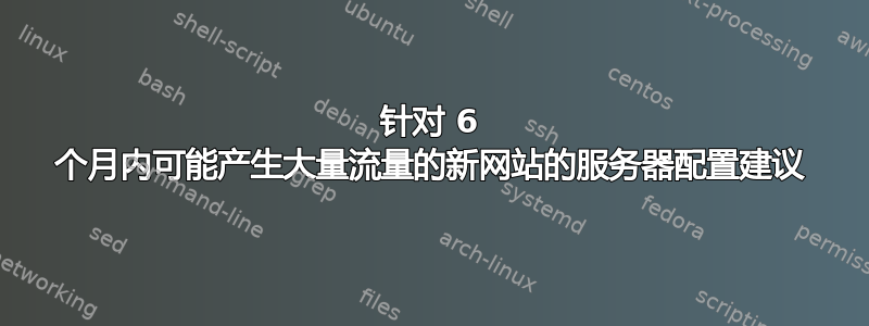 针对 6 个月内可能产生大量流量的新网站的服务器配置建议