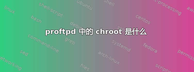 proftpd 中的 chroot 是什么