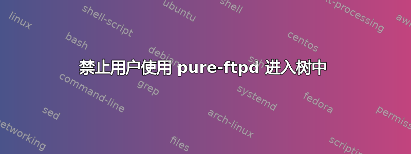 禁止用户使用 pure-ftpd 进入树中