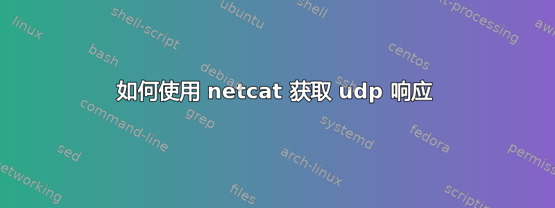 如何使用 netcat 获取 udp 响应