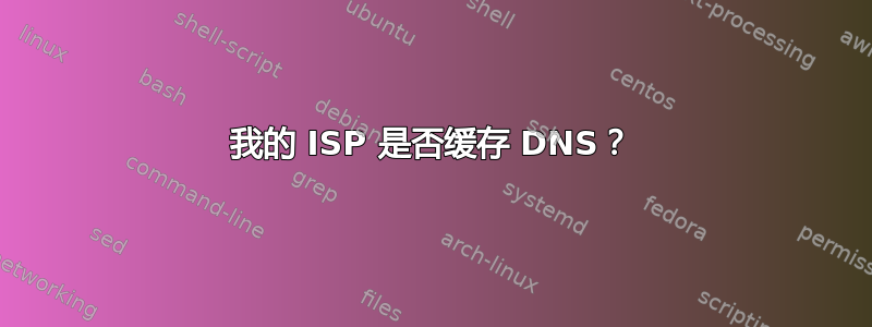 我的 ISP 是否缓存 DNS？