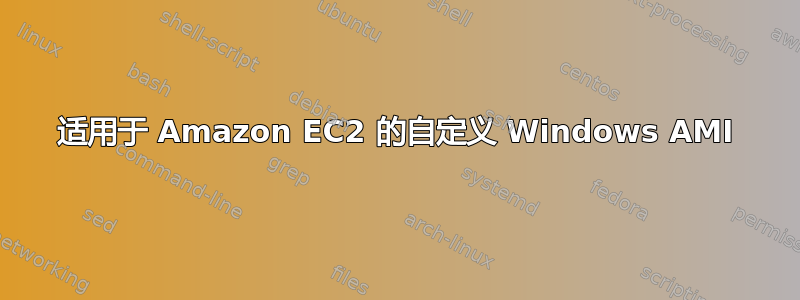 适用于 Amazon EC2 的自定义 Windows AMI