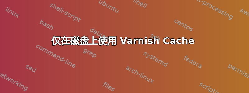 仅在磁盘上使用 Varnish Cache