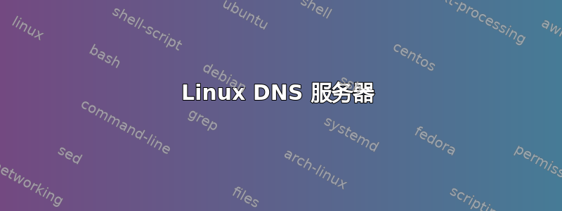 Linux DNS 服务器