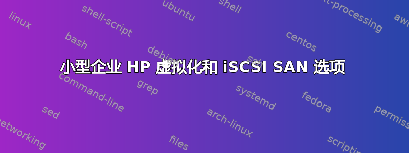 小型企业 HP 虚拟化和 iSCSI SAN 选项