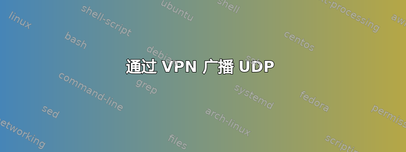 通过 VPN 广播 UDP