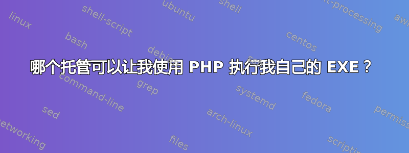 哪个托管可以让我使用 PHP 执行我自己的 EXE？