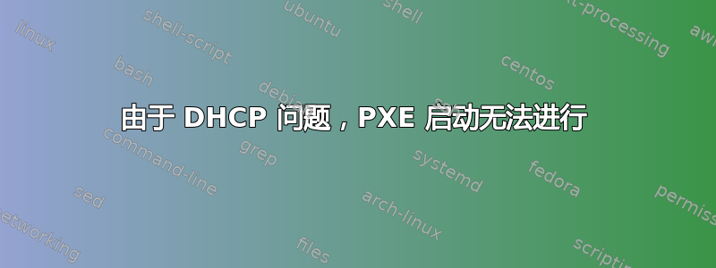 由于 DHCP 问题，PXE 启动无法进行