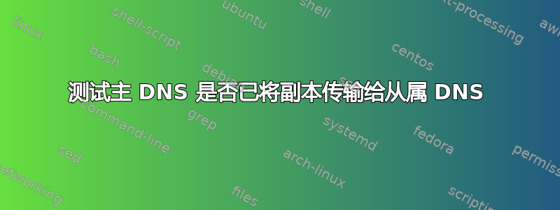 测试主 DNS 是否已将副本传输给从属 DNS