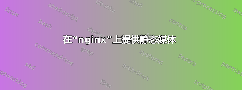 在“nginx”上提供静态媒体