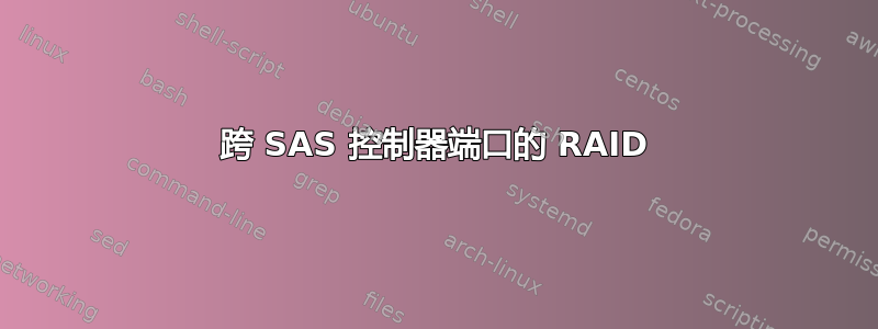 跨 SAS 控制器端口的 RAID