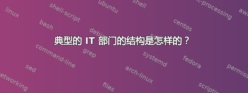 典型的 IT 部门的结构是怎样的？