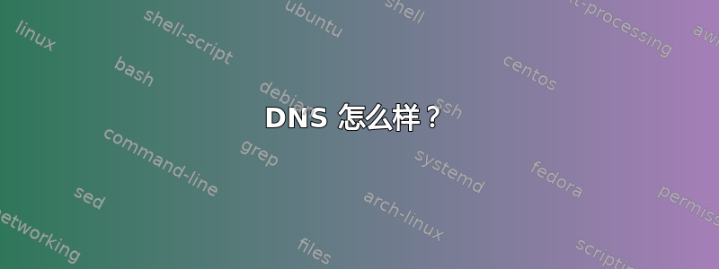 DNS 怎么样？