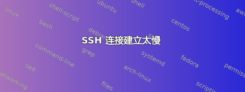 SSH 连接建立太慢