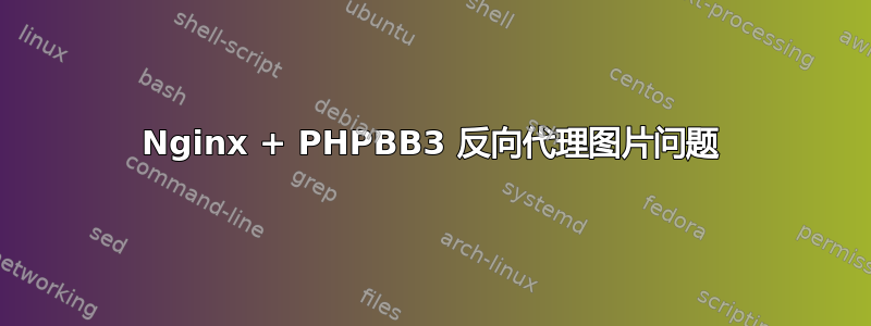 Nginx + PHPBB3 反向代理图片问题