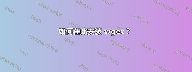 如何在此安装 wget？