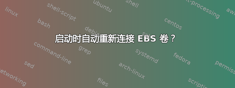 启动时自动重新连接 EBS 卷？