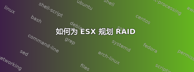 如何为 ESX 规划 RAID