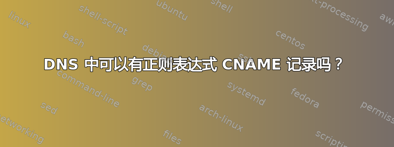 DNS 中可以有正则表达式 CNAME 记录吗？