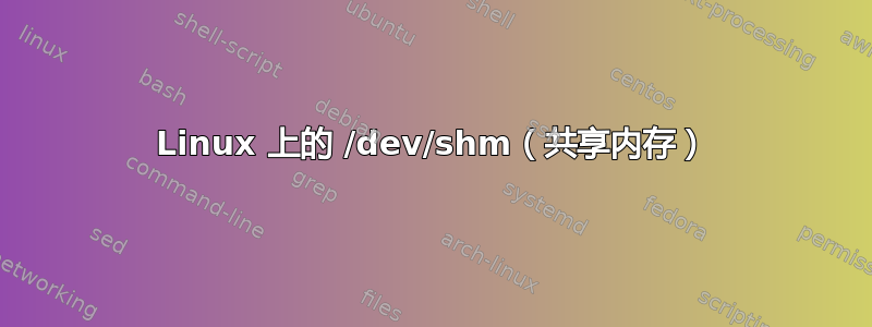 Linux 上的 /dev/shm（共享内存）