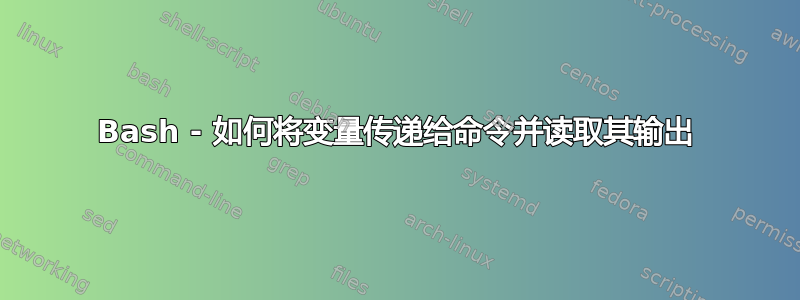 Bash - 如何将变量传递给命令并读取其输出