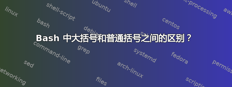 Bash 中大括号和普通括号之间的区别？