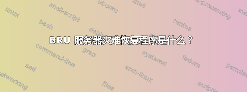 BRU 服务器灾难恢复程序是什么？