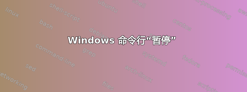 Windows 命令行“暂停”