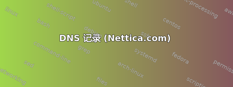 DNS 记录 (Nettica.com)