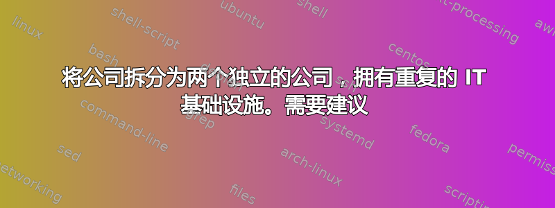 将公司拆分为两个独立的公司，拥有重复的 IT 基础设施。需要建议