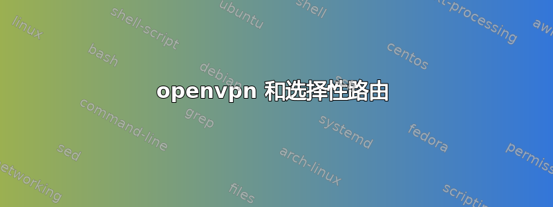 openvpn 和选择性路由