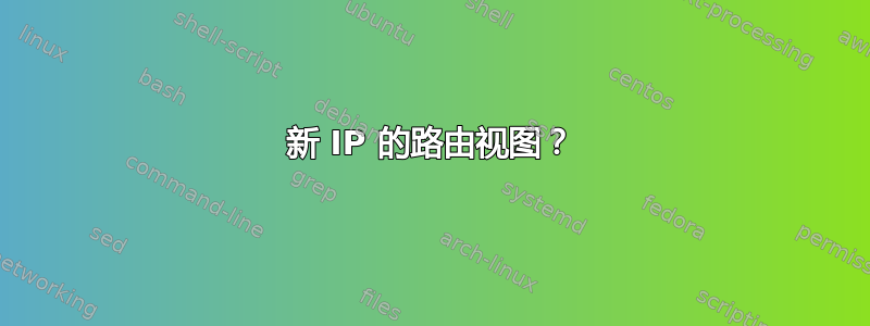 新 IP 的路由视图？