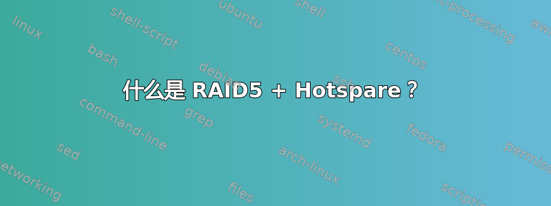 什么是 RAID5 + Hotspare？