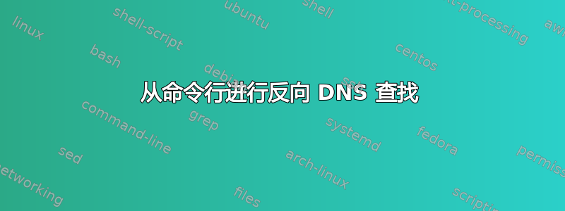 从命令行进行反向 DNS 查找