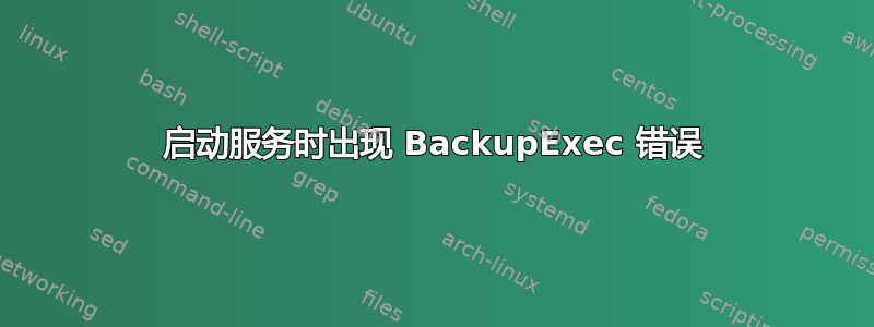 启动服务时出现 BackupExec 错误