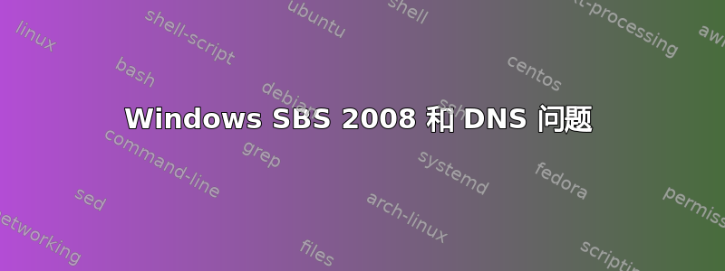 Windows SBS 2008 和 DNS 问题