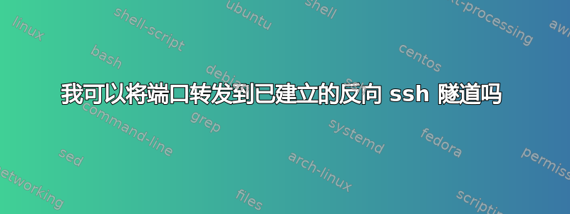 我可以将端口转发到已建立的反向 ssh 隧道吗