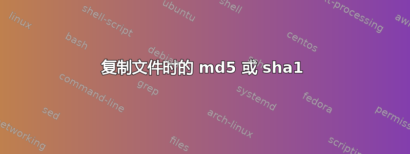 复制文件时的 md5 或 sha1