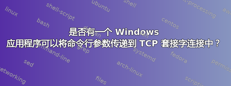 是否有一个 Windows 应用程序可以将命令行参数传递到 TCP 套接字连接中？