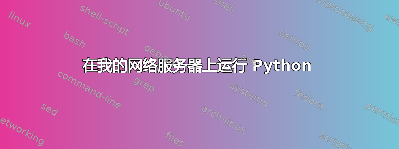 在我的网络服务器上运行 Python