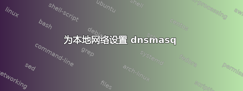 为本地网络设置 dnsmasq